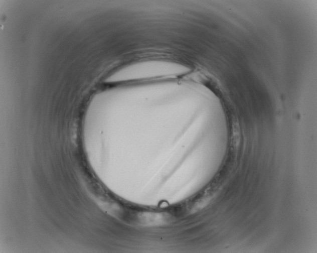 X0000082740255200702240020