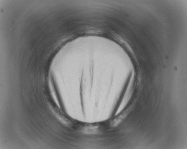 X0000082740257200702240020