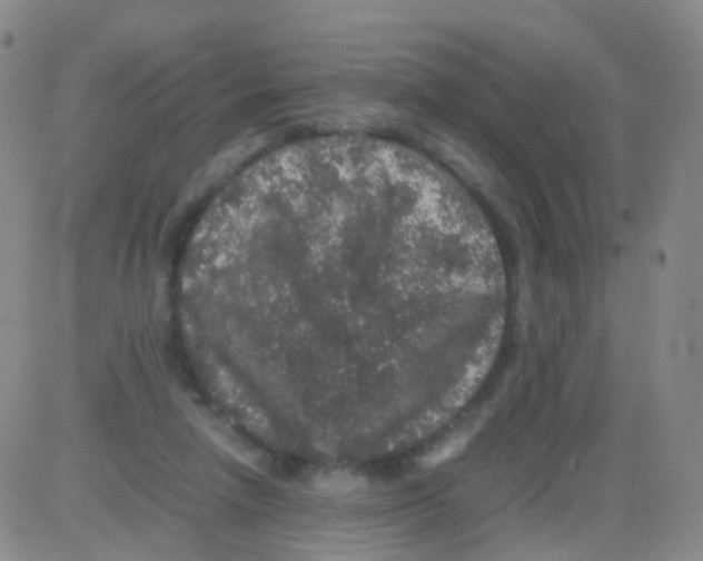 X0000082740258200702240020