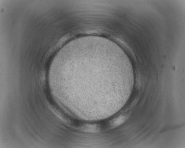 X0000082740260200702240020