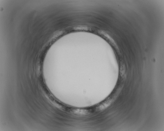 X0000082740261200702240020