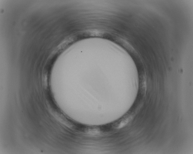 X0000082740262200702240020