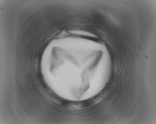 X0000082740263200702240020