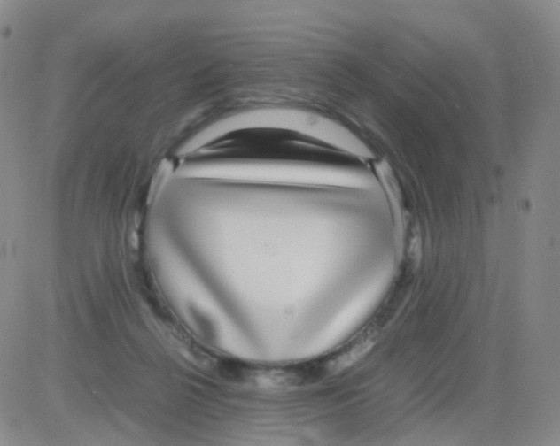 X0000082740264200702240020