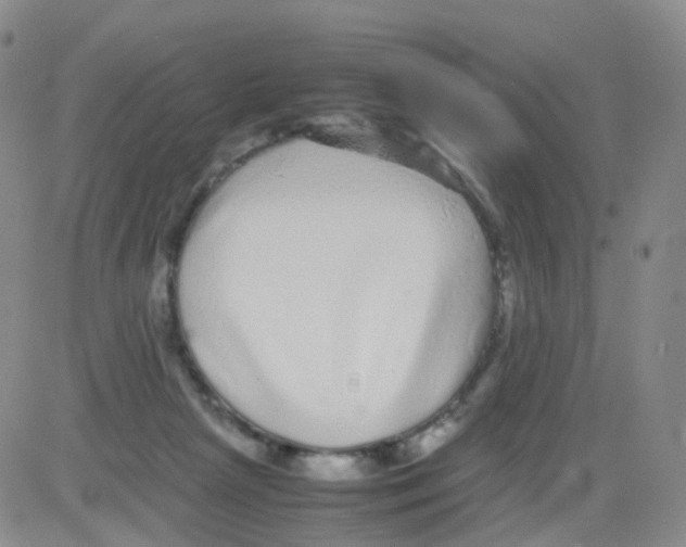 X0000082740265200702240020