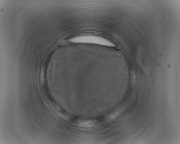 X0000082740267200702240020