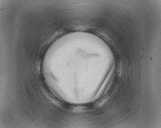 X0000082740268200702240020