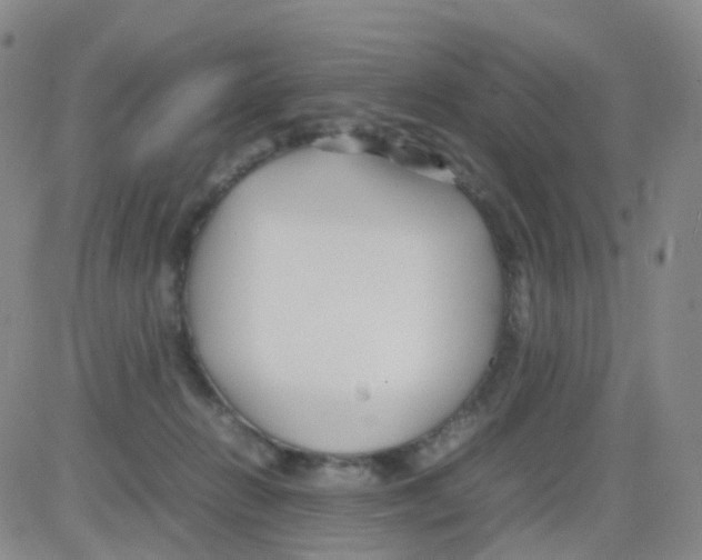 X0000082740270200702240020