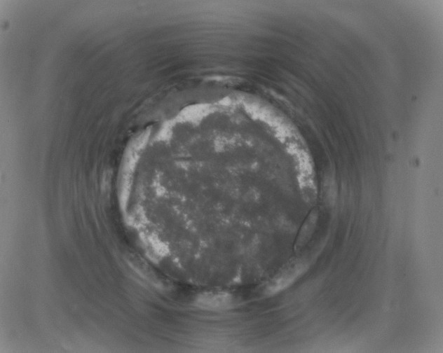 X0000082740271200702240020