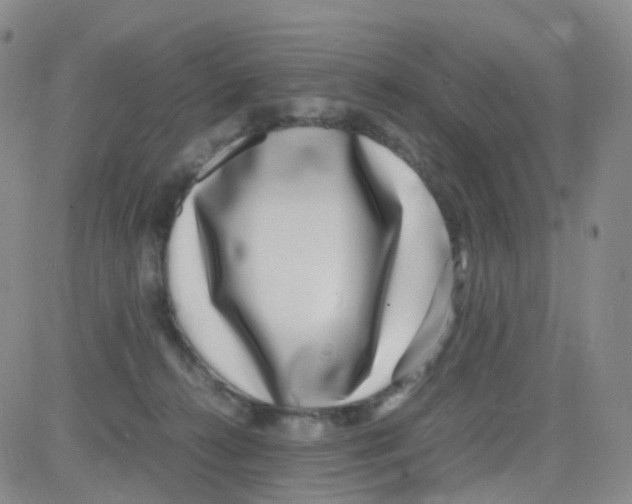 X0000082740272200702240020