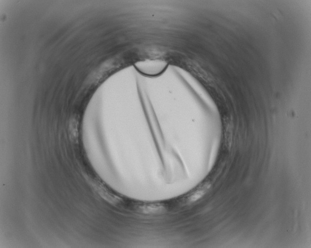 X0000082740274200702240020