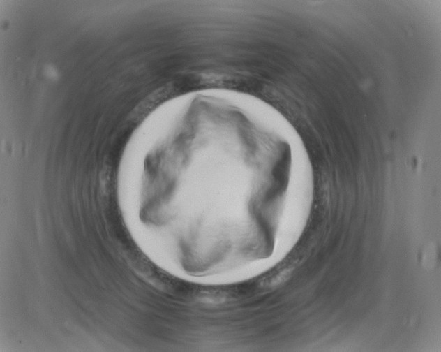 X0000082740275200702240020