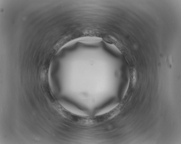 X0000082740276200702240020