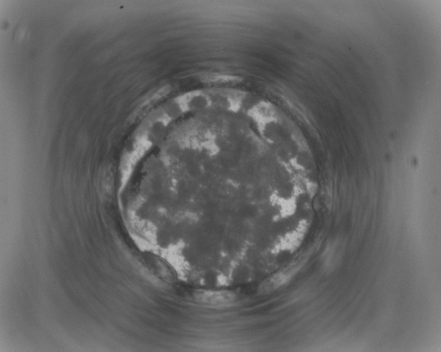 X0000082740277200702240020