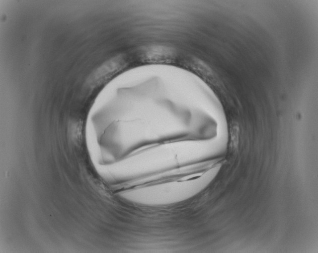 X0000082740278200702240021