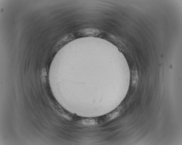 X0000082740279200702240021