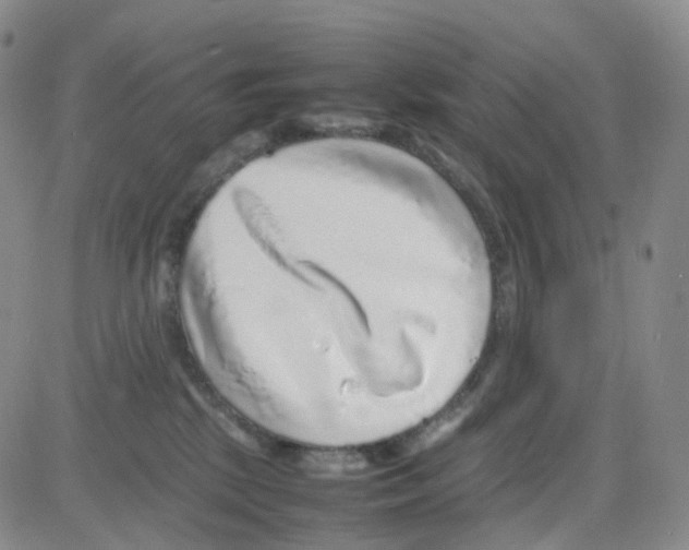 X0000082740281200702240021