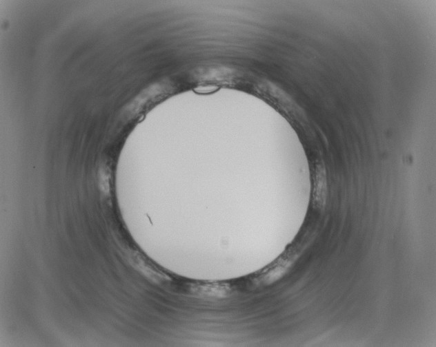 X0000082740282200702240021