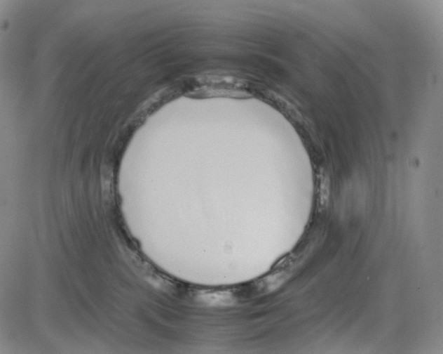 X0000082740283200702240021