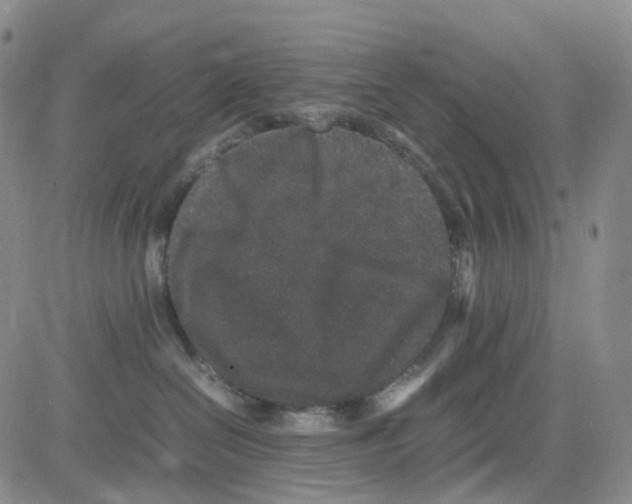 X0000082740286200702240021