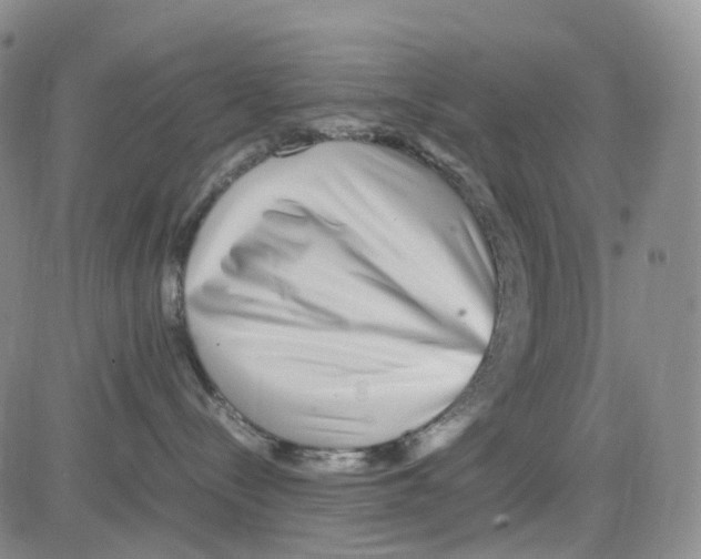 X0000082740288200702240021