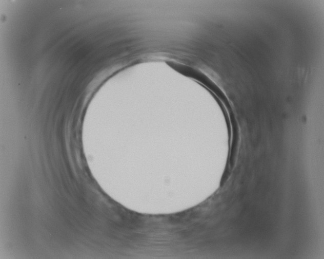 X0000082740289200702240020