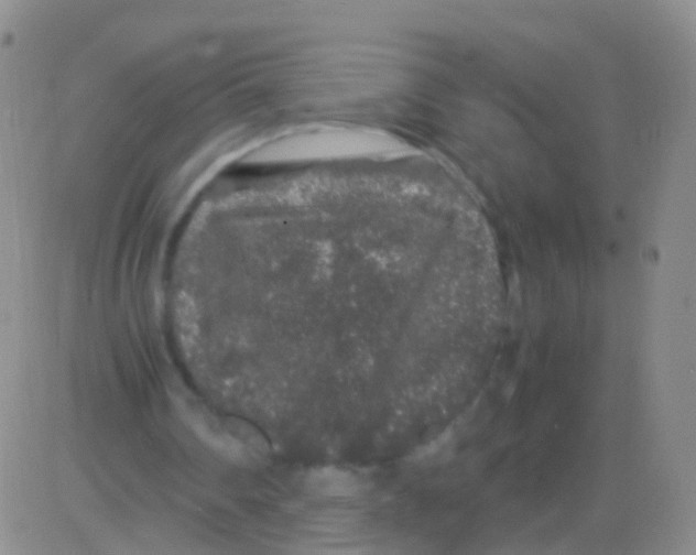 X0000082740290200702240020