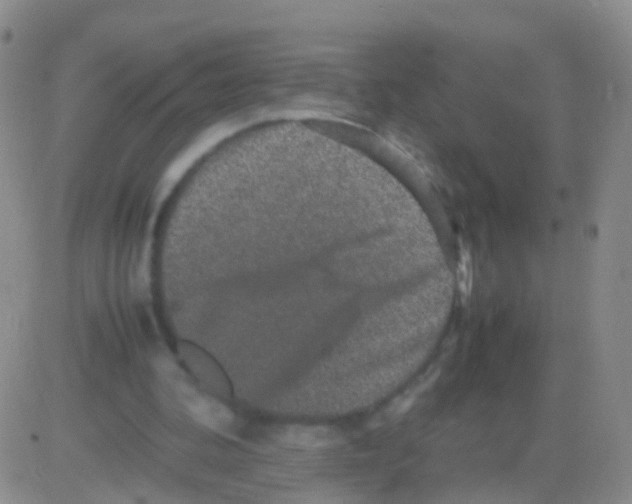 X0000082740292200702240020