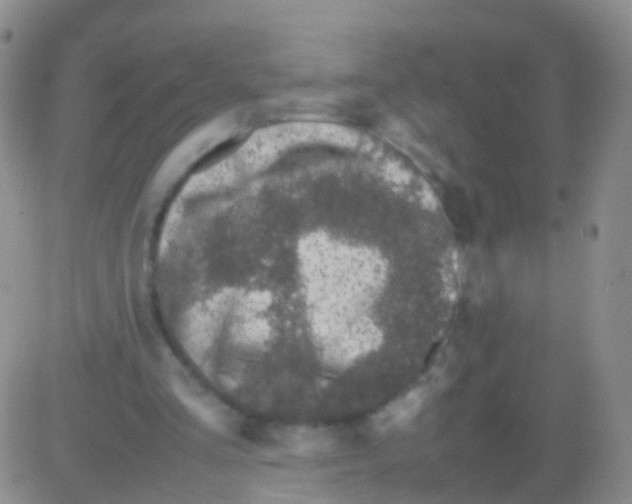 X0000082740293200702240020