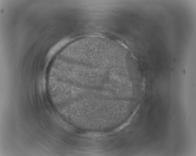 X0000082740294200702240020