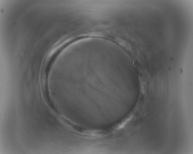 X0000082740295200702240020