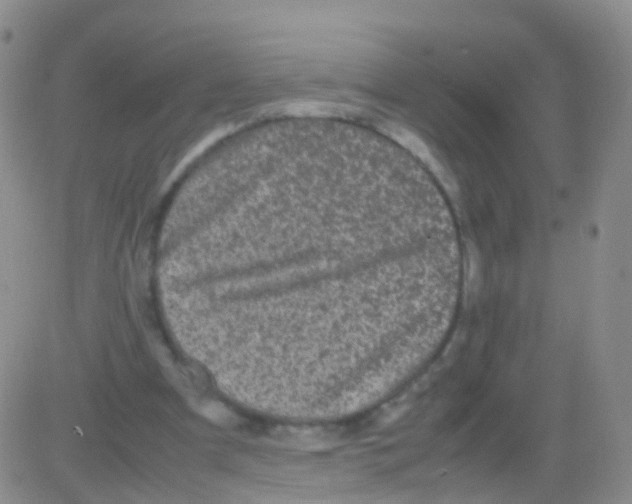 X0000082740297200702240020