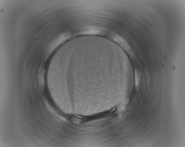 X0000082740300200702240020