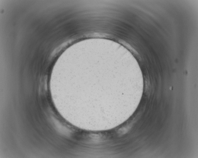 X0000082740302200702240020