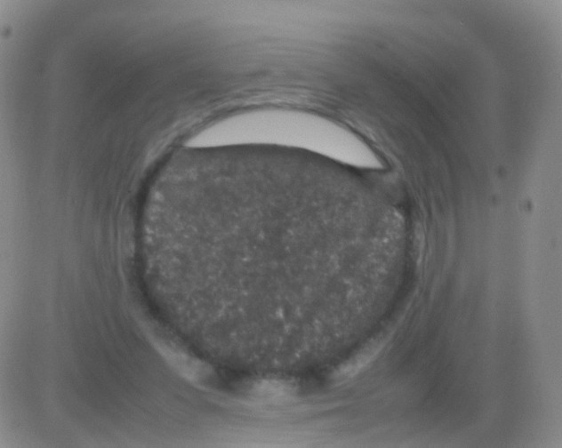 X0000082740303200702240020