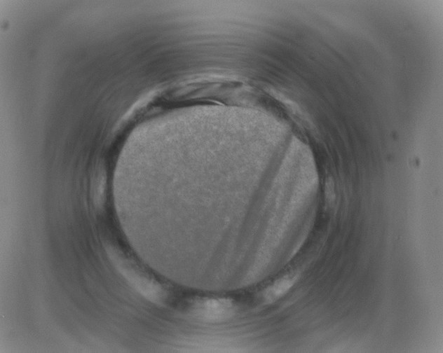 X0000082740304200702240020