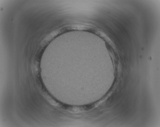 X0000082740305200702240020