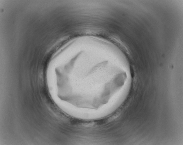 X0000082740306200702240020