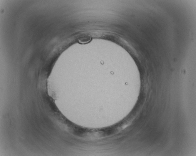 X0000082740307200702240020