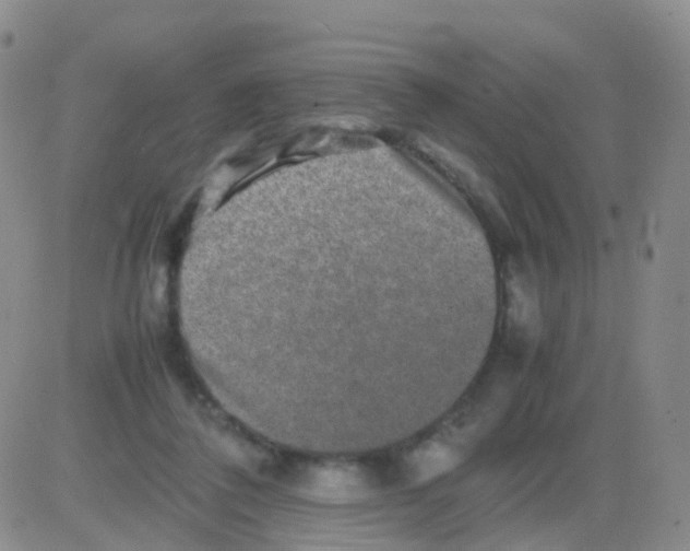 X0000082740308200702240020