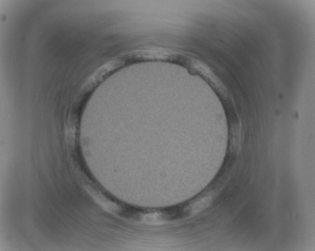 X0000082740309200702240020