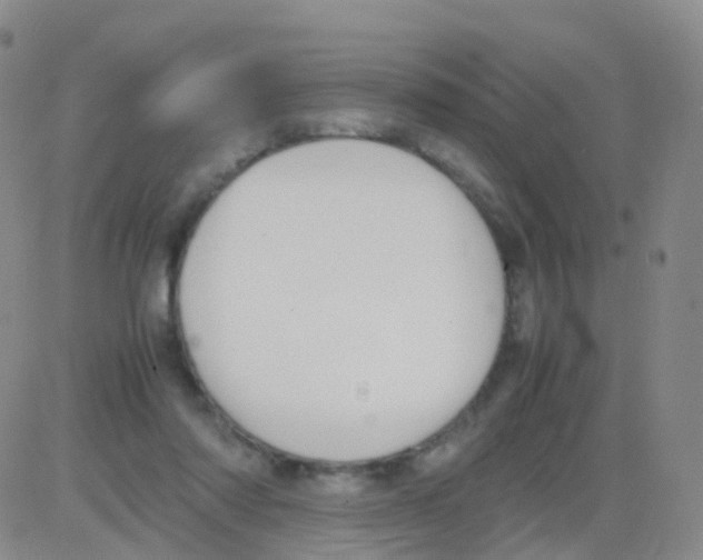 X0000082740310200702240020