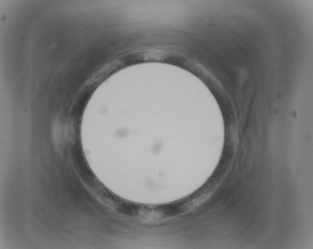 X0000082740311200702240019