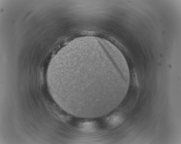 X0000082740312200702240019