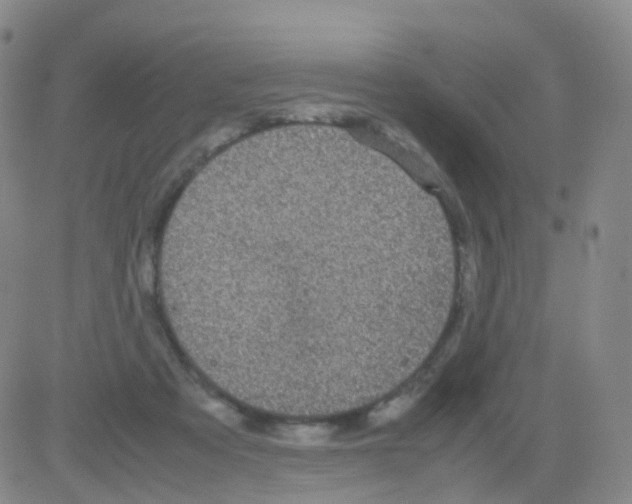 X0000082740313200702240019