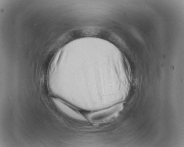 X0000082740315200702240019