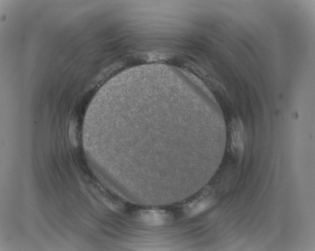 X0000082740316200702240019