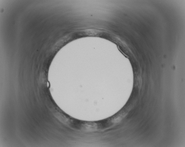 X0000082740317200702240019