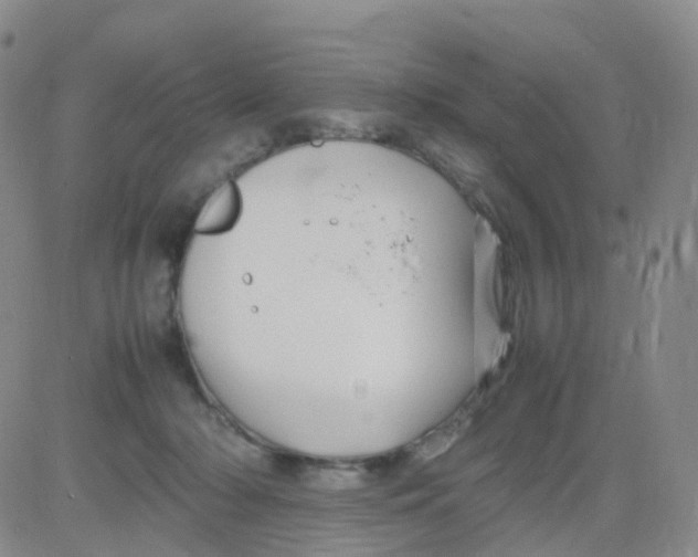 X0000082740318200702240019