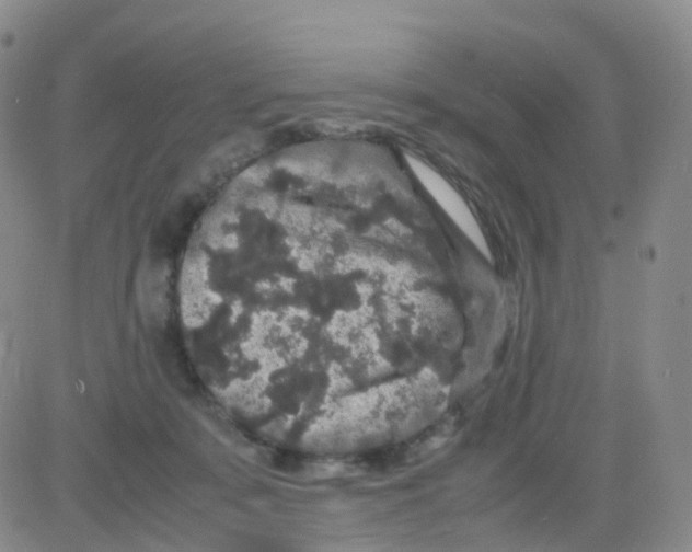 X0000082740319200702240019